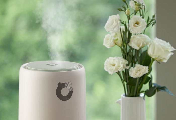 冬季家居，加濕器選購(gòu)指南